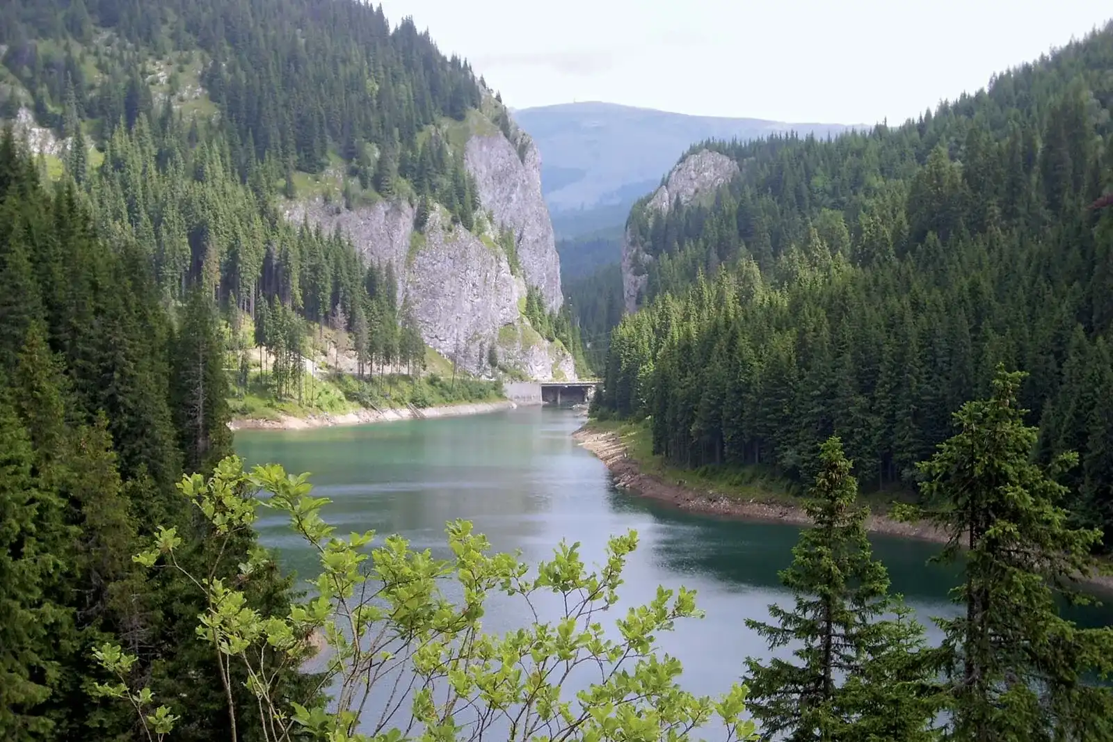 Cărarea de pe malul apei